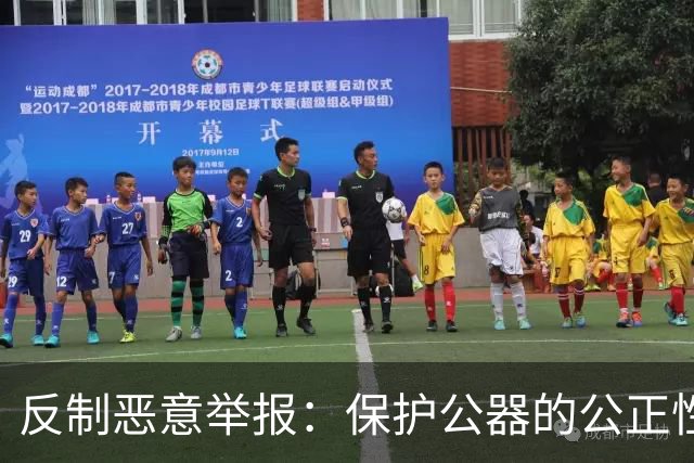 反制恶意举报：保护公器的公正性与合法权益